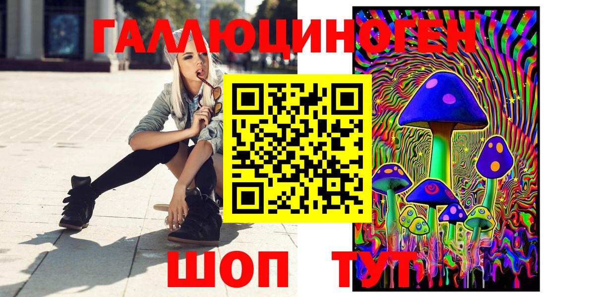 Рязань  Галлюциногенные грибы GOLDEN TEACHER  Вход с VPN  Галлюциногенные грибы Psilocybine cubensis 